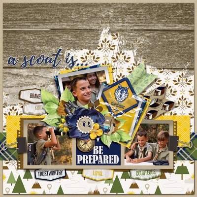 A Scout is..