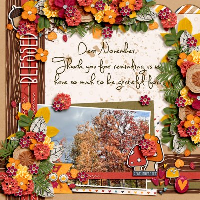 Dear November