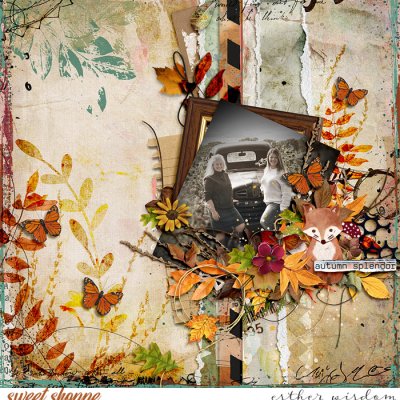 Autumn Splendor