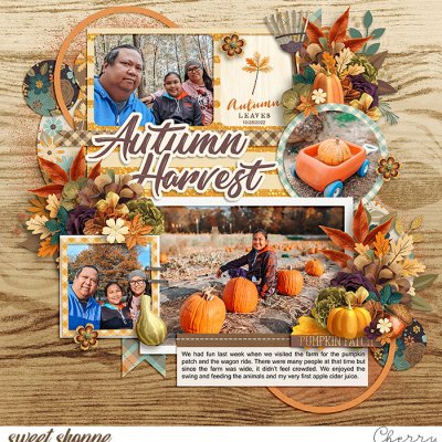 Autumn Harvest