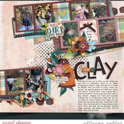 CLAY soil
