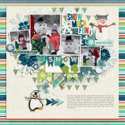 First snowfall