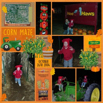 Corn Maze