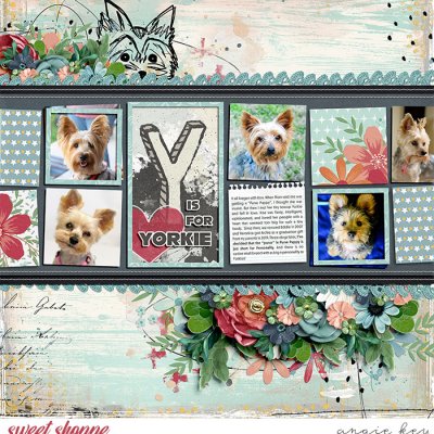 Y is for Yorkie
