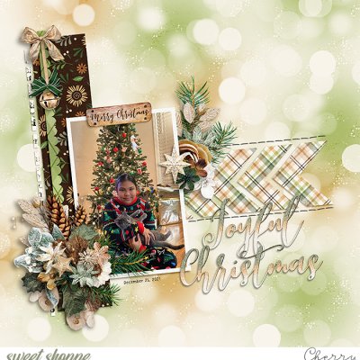 Joyful Christmas