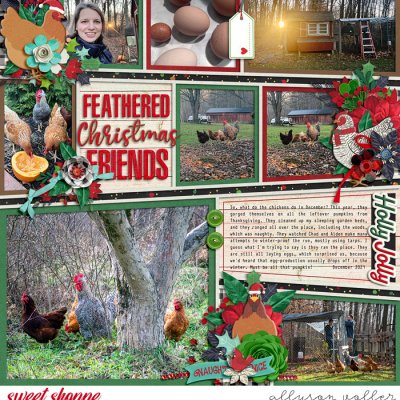 Feathered Friends at Christmas
