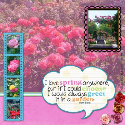 Rose Garden