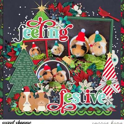 Feeling Festive