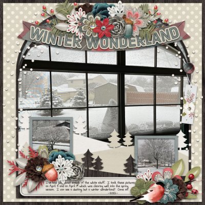 Winter Wonderland