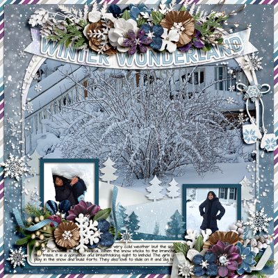 Winter Wonderland
