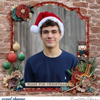 Home for Christmas