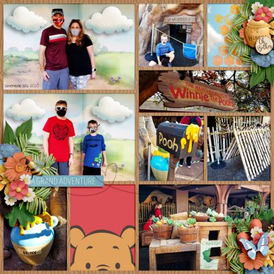 The Many Adventures of Winnie the Pooh 2020
