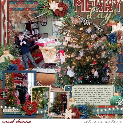 Merry Day