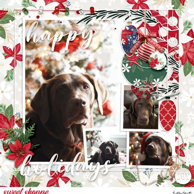 Christmas Posing 2022