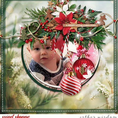 A Merry Little Christmas