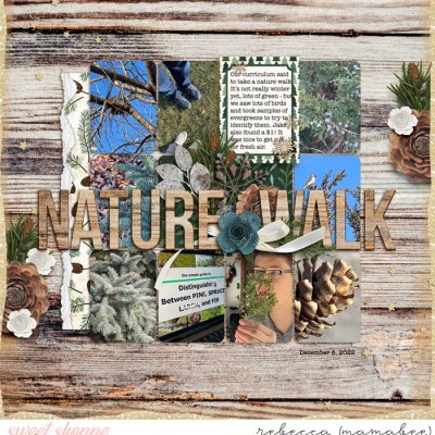 Nature walk