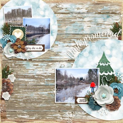 Winter Walk in December