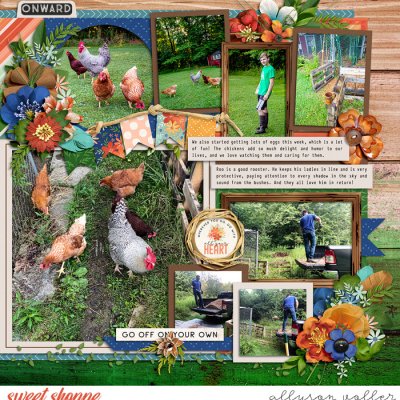 Free Ranging right