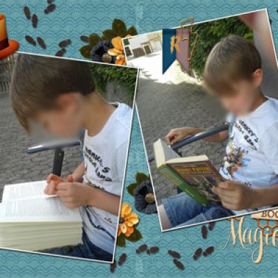 Reading Harry Potter