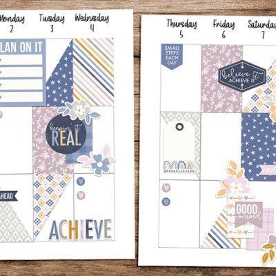 Renewal Planner Spread