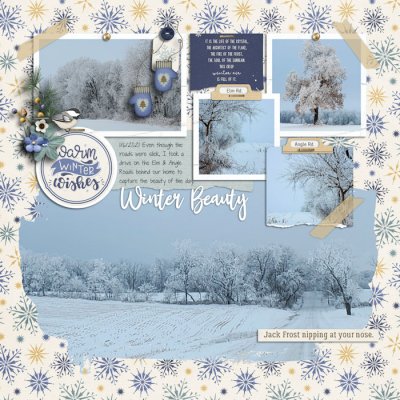 Winter Beauty