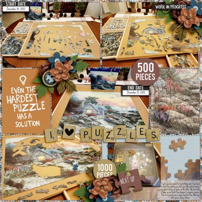 Puzzle Board 22