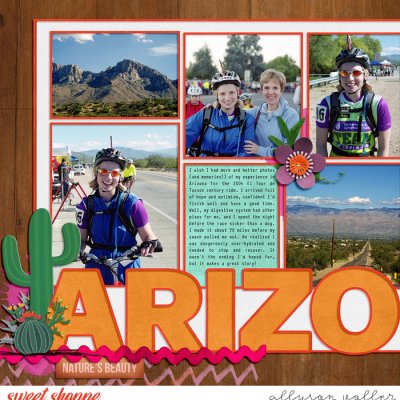 Arizona 2004 left