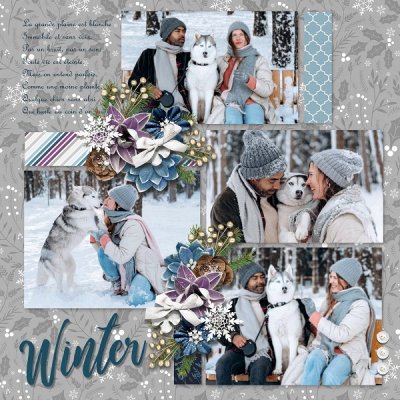 A woodland christmas - wointer wonders