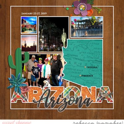 Arizona cover page