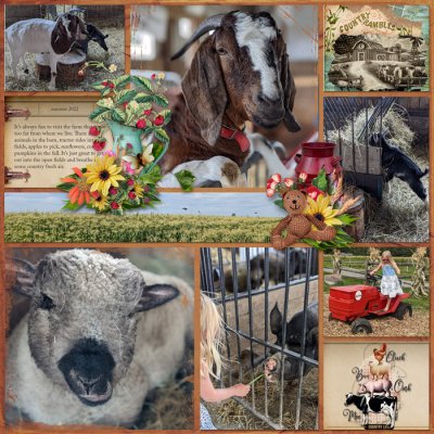 Farm visit