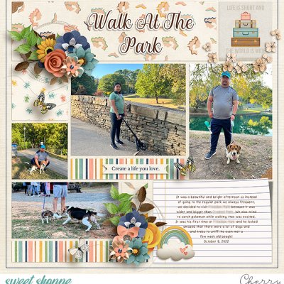 Walk At The Park