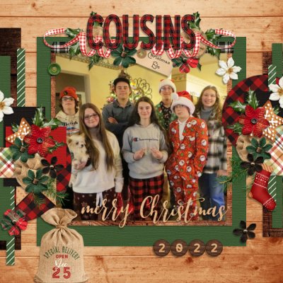 Cousins {Christmas 2022}