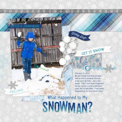 What Happened to My Snowman?
