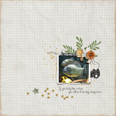 Feb 4 - PGAD - Bad Photo Scrap Challenge