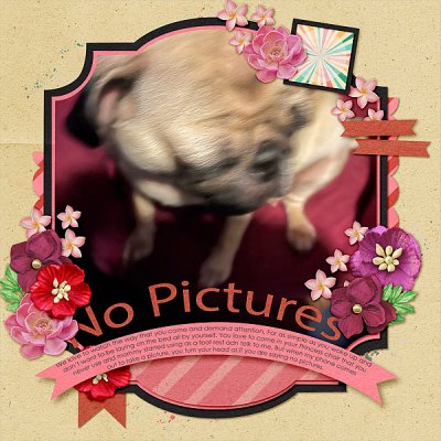 No Pictures