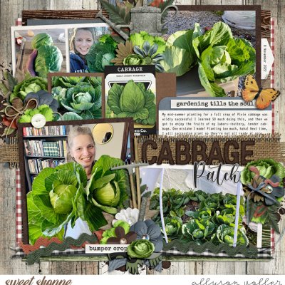 Cabbage Patch 2022
