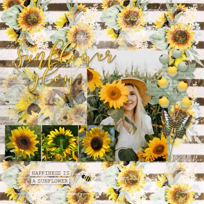 Sunflower Glow