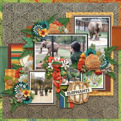 Elephants