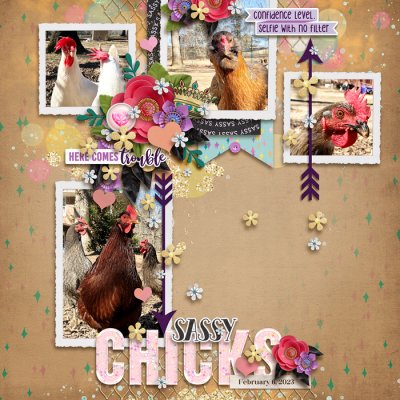 Sassy Chicks