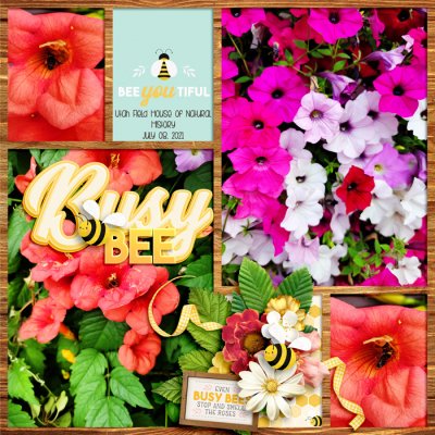 Busy Bee 21