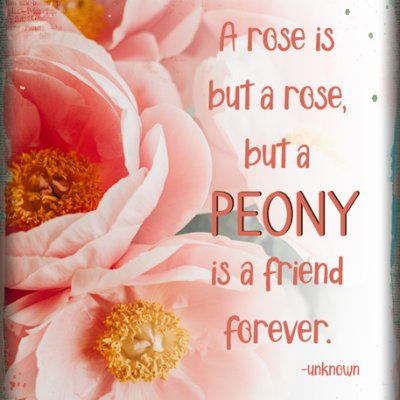 ATC 2023-006 Peony