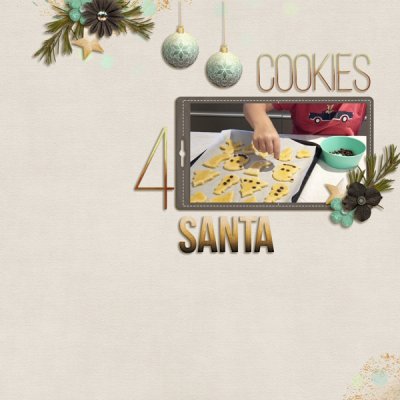 Cookies 4 Santa