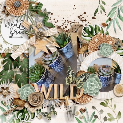 stay wild