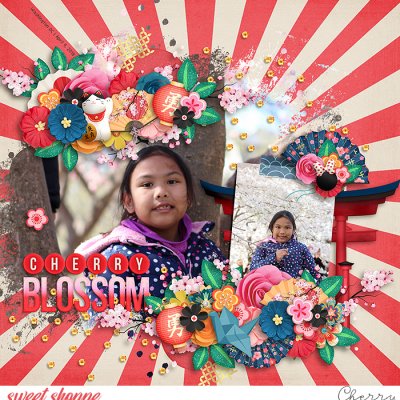 Cherry Blossom