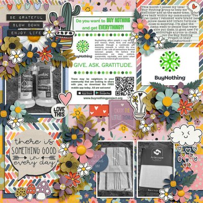 Buy Nothing Project
