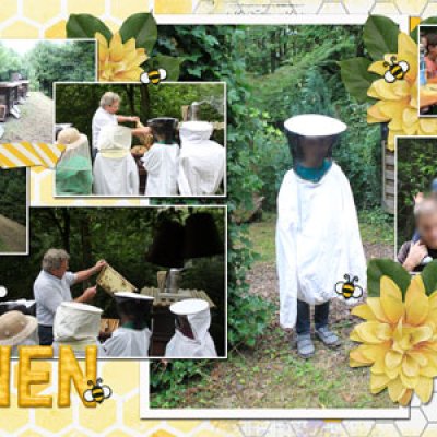 bees