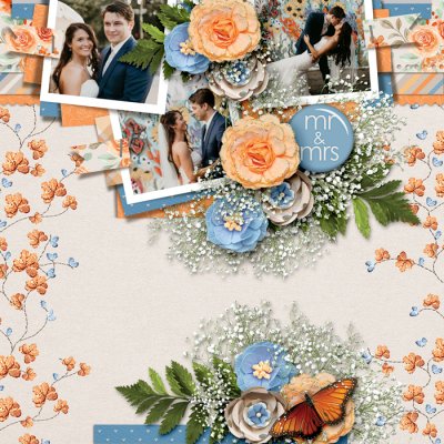 Mr-and-Mrs_-
