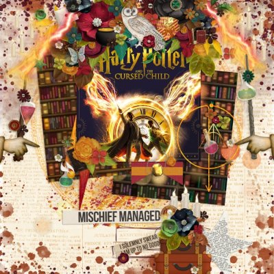 Mischief Managed