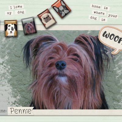 Pennie