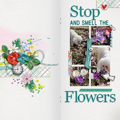 Stop And Smell The Flowers